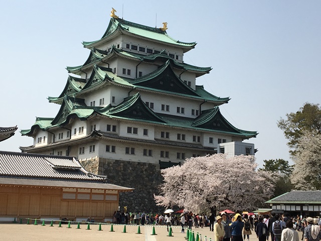 名古屋城の桜と金シャチ横丁の見どころ。＜お花見2018＞